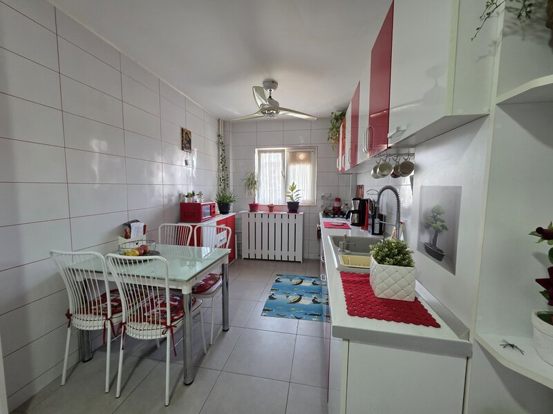 Dristor- Ramnicu Valcea